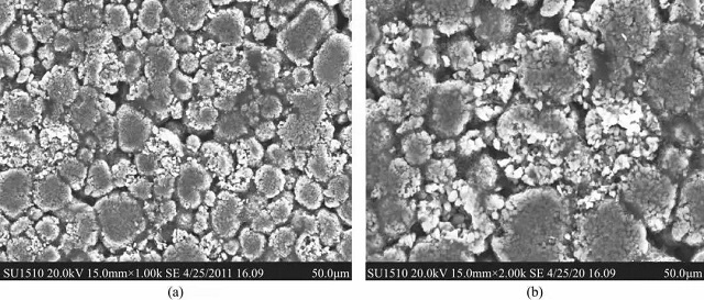 過壓后極片的SEM圖