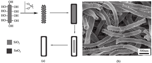 SnO2納米管的形成機(jī)理和形貌