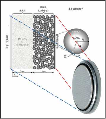 在宏觀（左）和微觀（右）層面對(duì)半電池建模